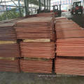 Factory Price Pure Copper Cathode /Cathode Copper 99.99%